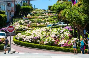 Lombard Street, vista de las flores y las curvas desde abajo.
