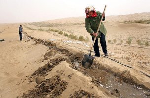 Operaria trabajando en el cinturón de vegetación