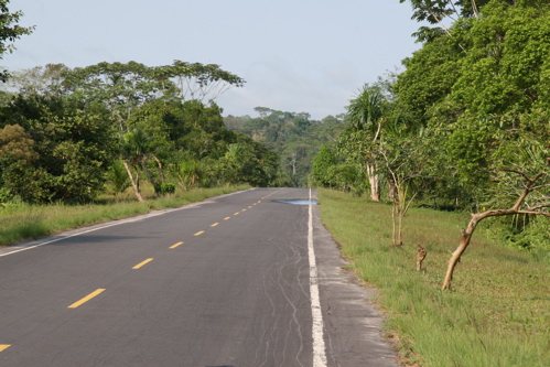 Carretera Iquitos Nauta