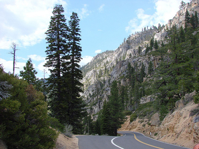 Zona de bosque en el Sonora Pass