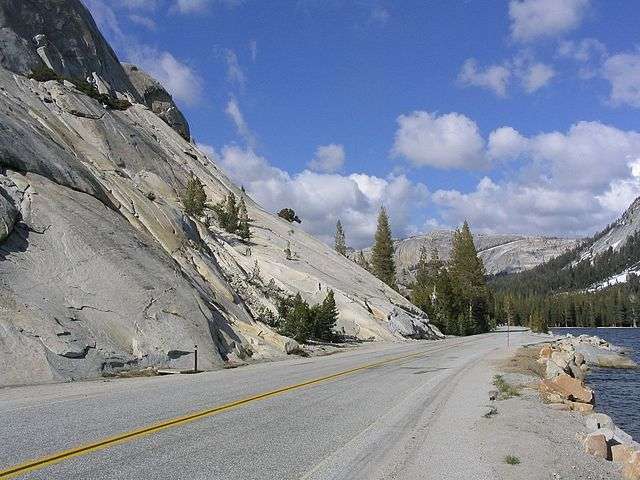 Preciosos colores en la zona boscosa del Tioga Pass